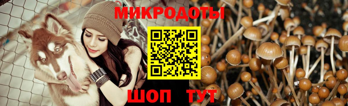 Псилоцибиновые грибы мухоморы  Вход с VPN  Нефтекумск 